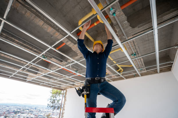 Best Best Plumbers Near Me  in Tipton, MO