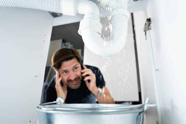 Best Shower Repair Services  in Tipton, MO